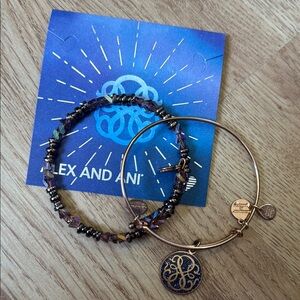 Alex and Ani Purple and Gold Charm Bracelet
